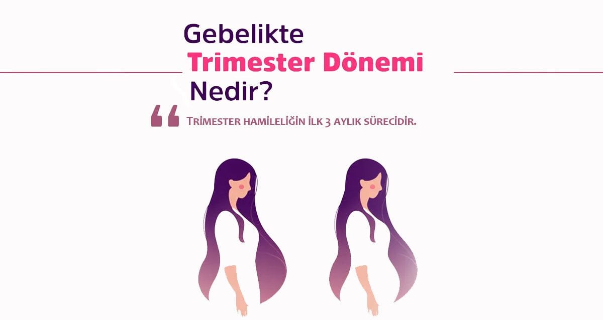 Trimester